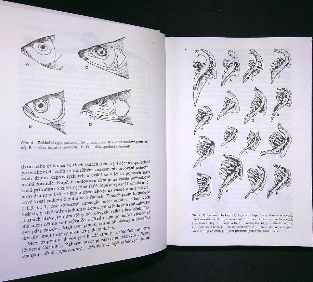 Ryby v našich vodách 1992
