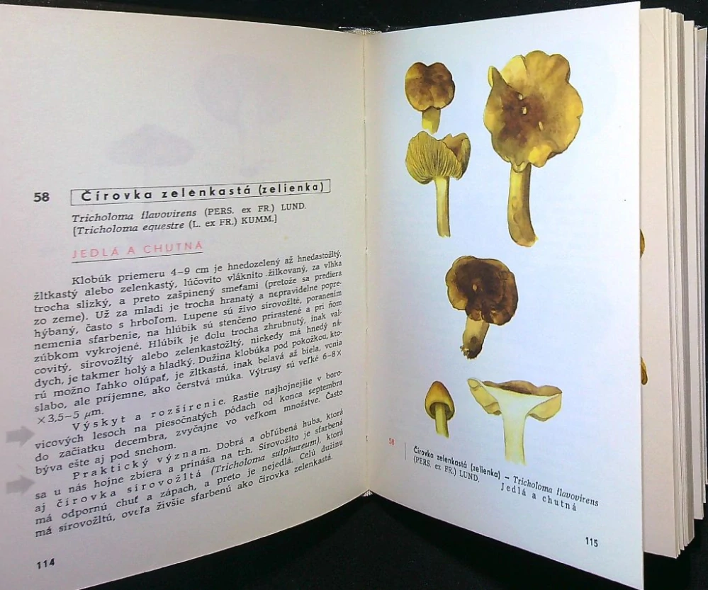 Vreckový atlas húb 1972