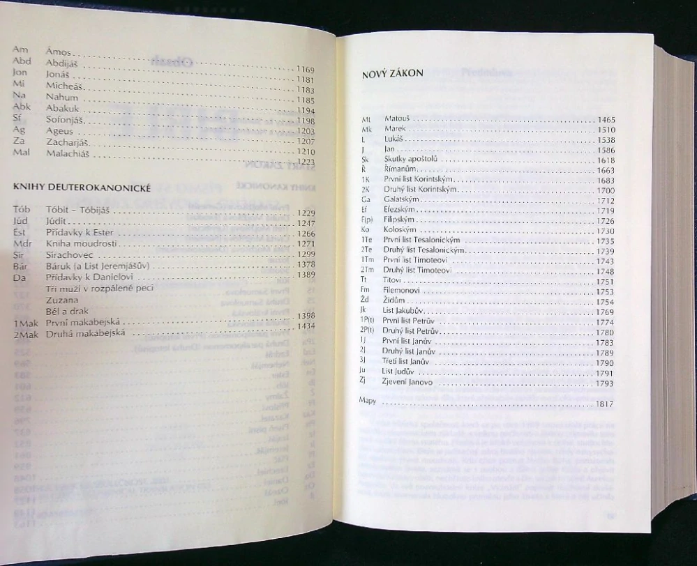 Bible 2001