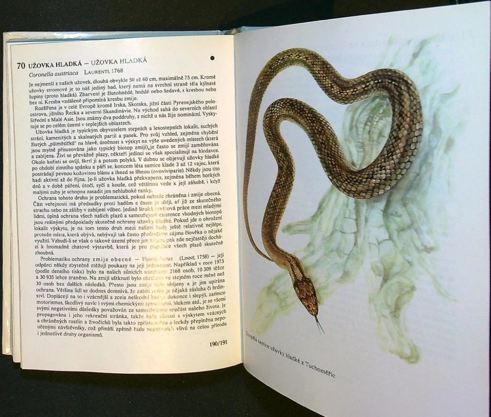 Kapesní atlas chráněných a ohrožených živočichů 1