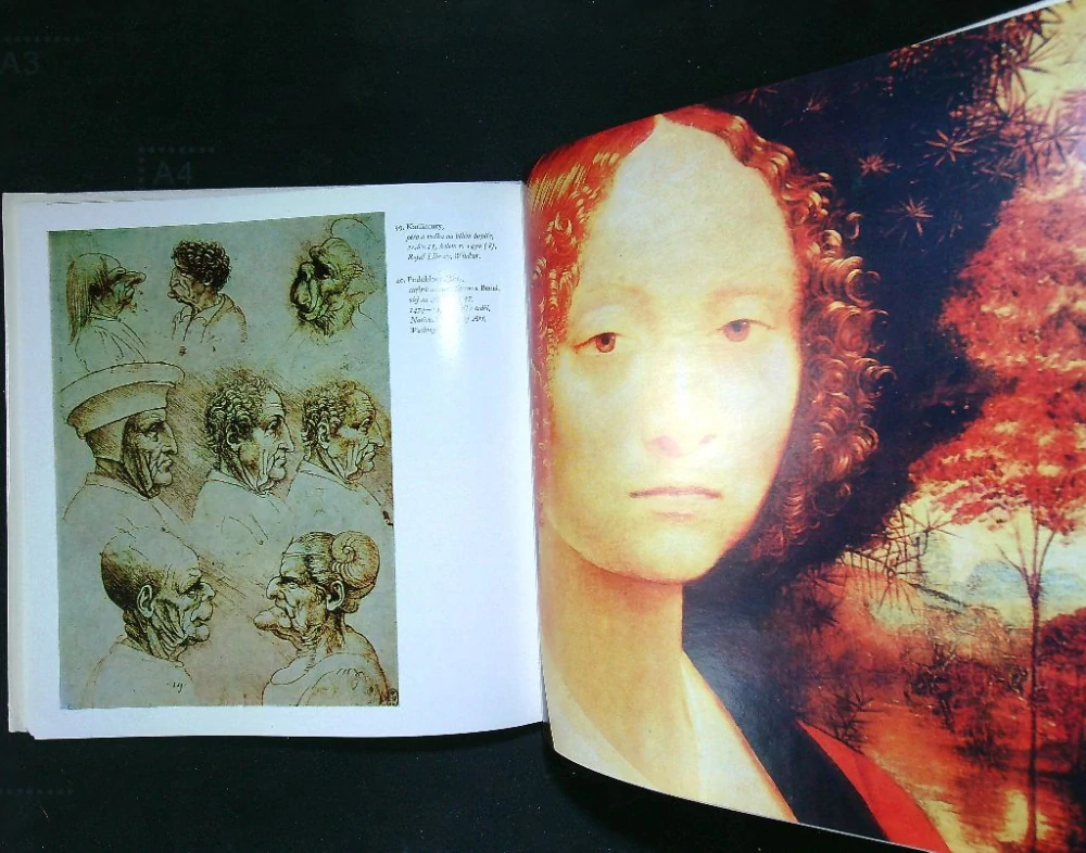 Leonardo da Vinci