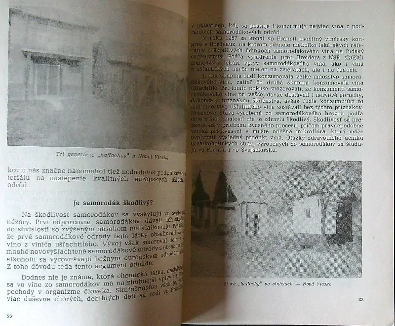 Novozámocké vinohrady a víno