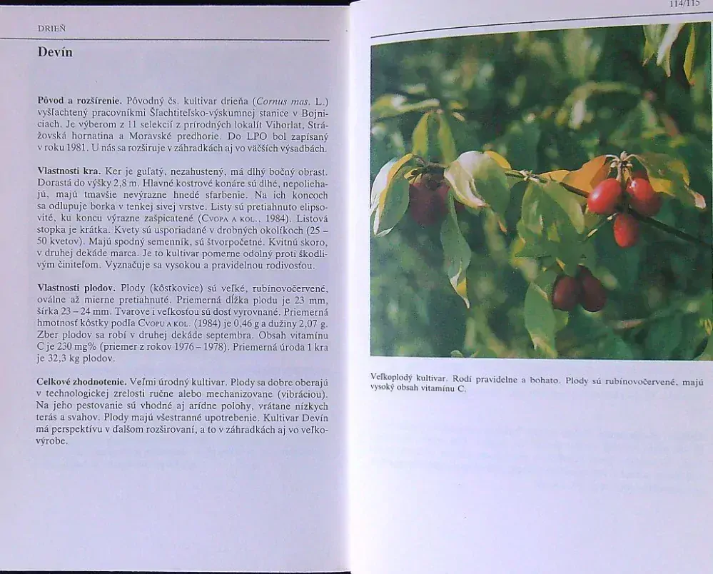 Pomológia drobného ovocia a menej známych ovocnín