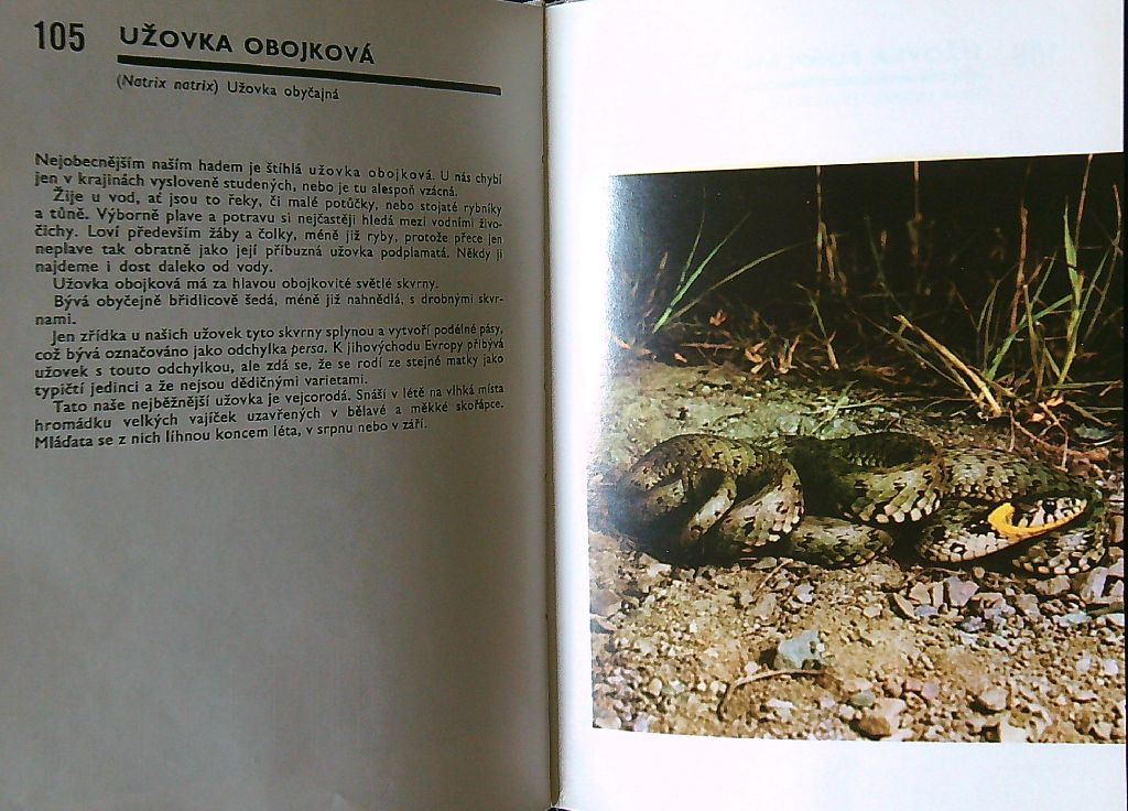 Kapesní atlas ryb, obojživelníků a plazů