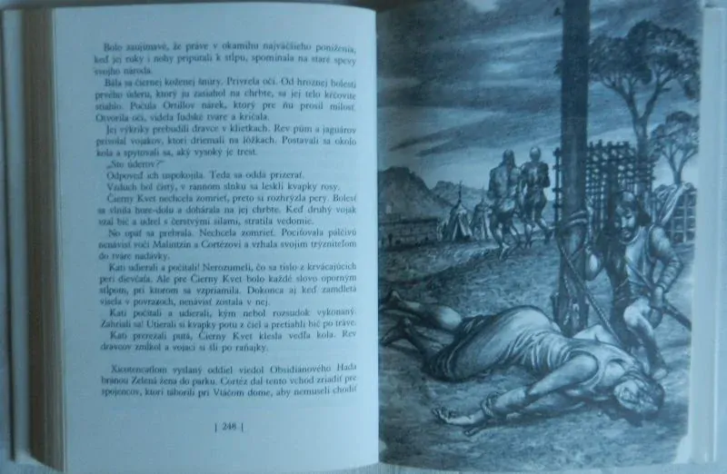 Zánik jaguárích bojovníkov