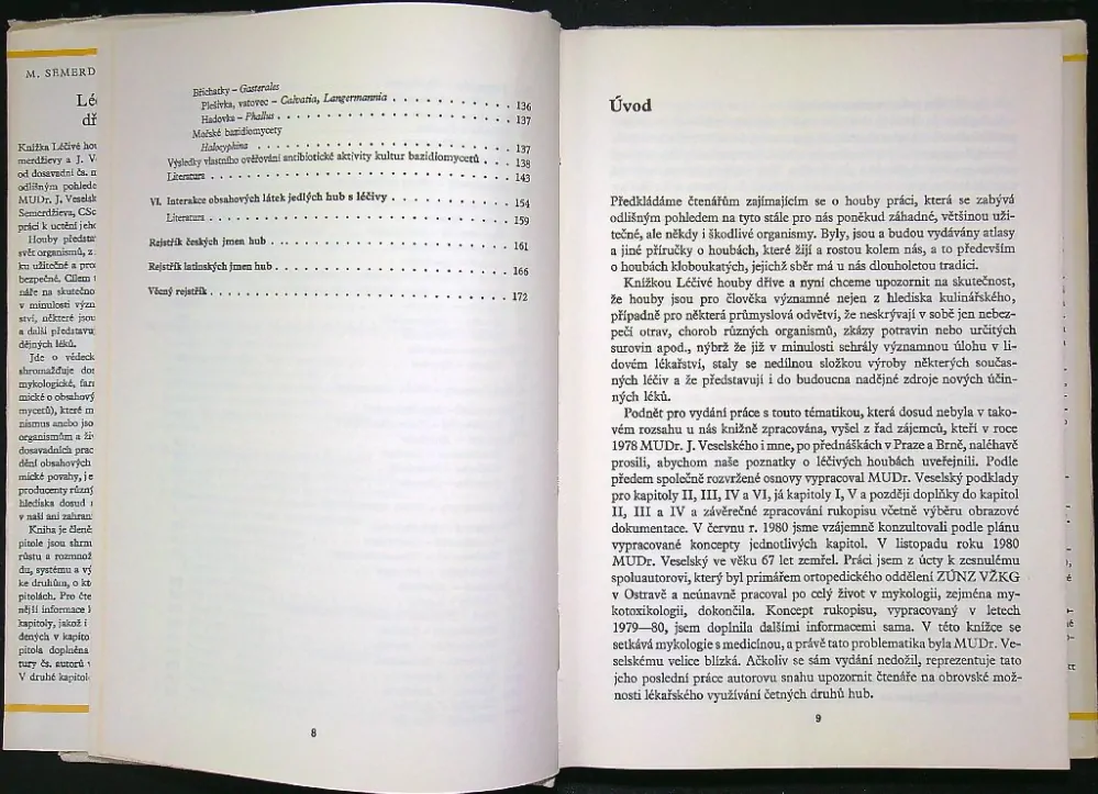 Léčivé houby dříve a nyní