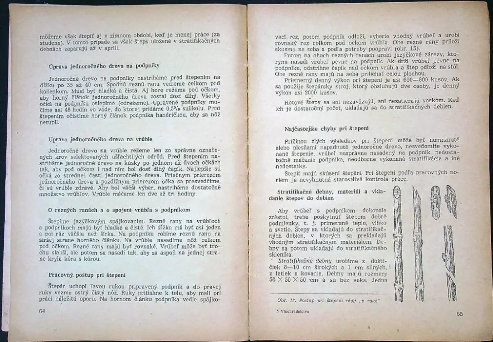 Vinohradníctvo 1954