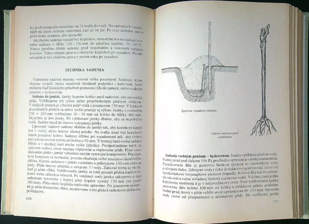 Vinohradníctvo 1978