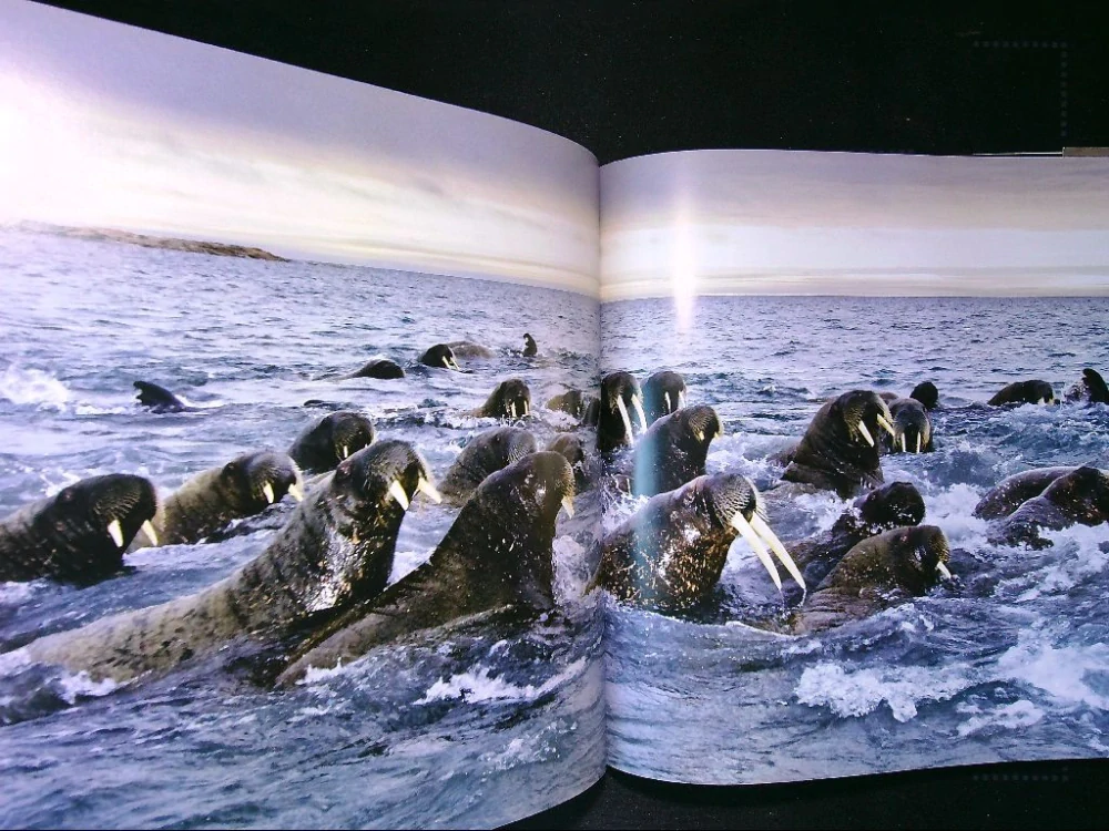 National Geographic - Great migrations