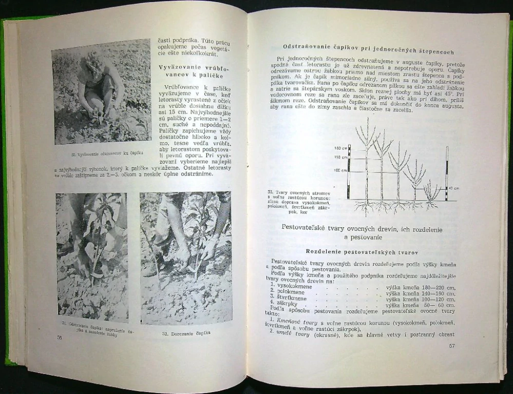 Záhradníctvo I.  Ovocinárstvo zeleninárstvo