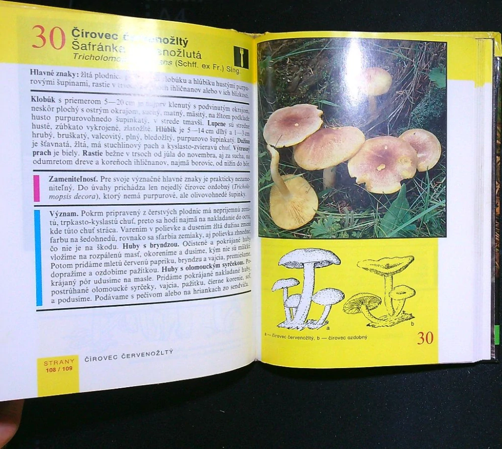 Vreckový atlas húb 1993