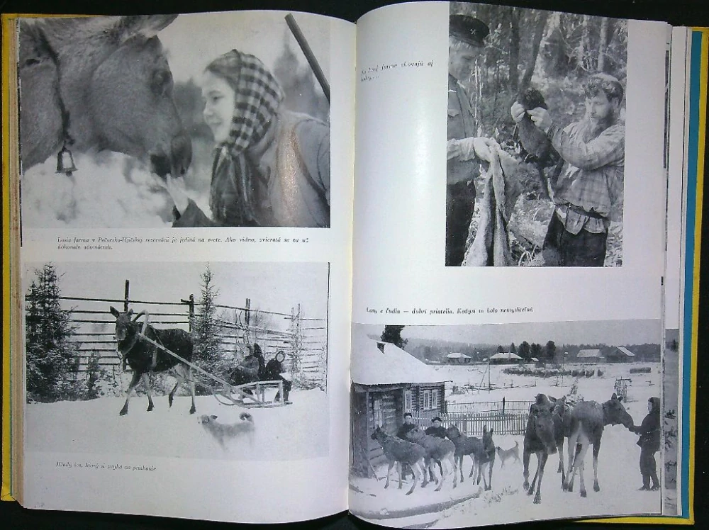 V sobích krajoch
