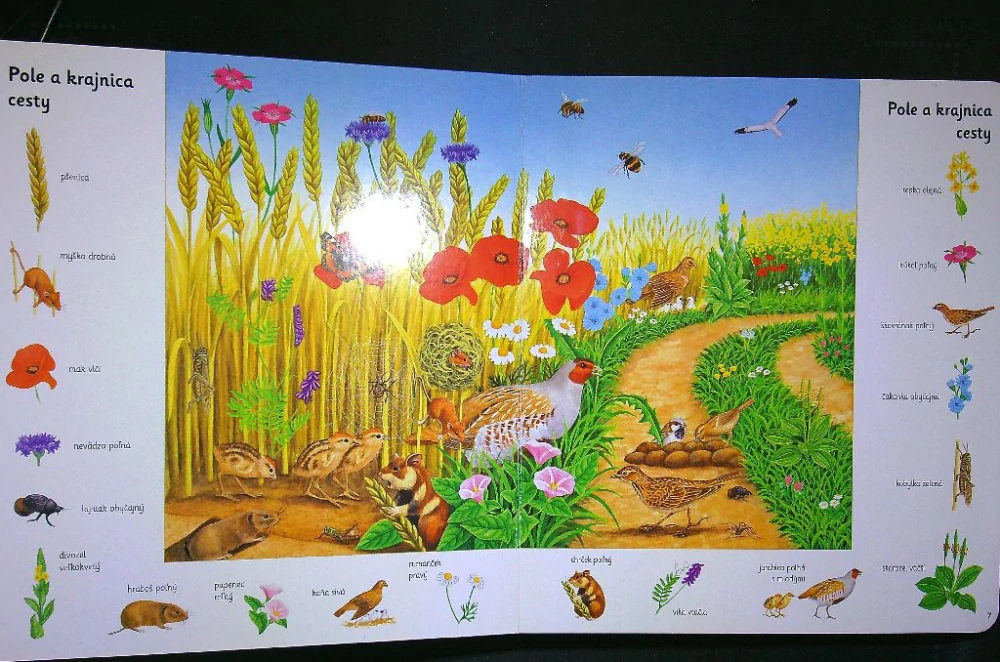 Moja pestrá knižka o zvieratkách