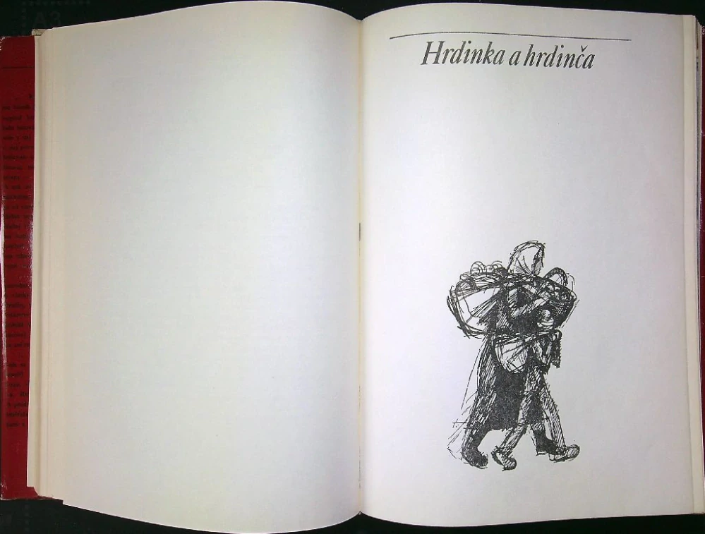 Červené víno