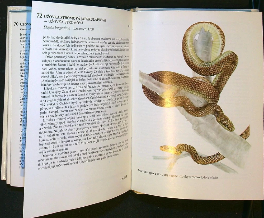 Kapesní atlas chráněných a ohrožených živočichů 1
