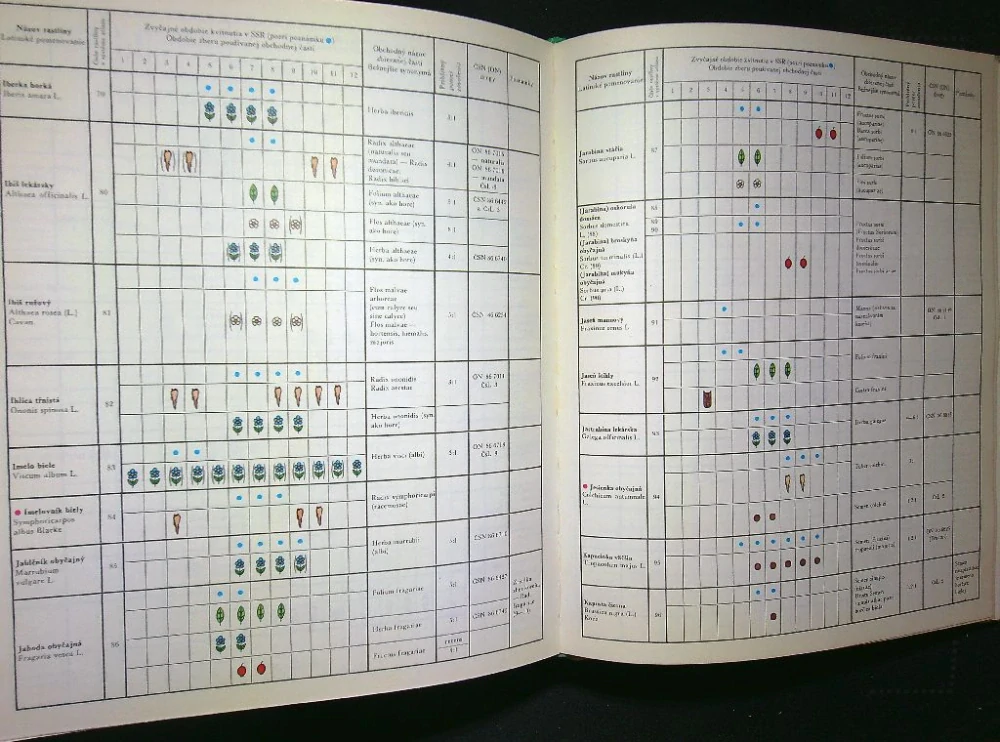 Atlas liečivých rastlín a lesných plodov