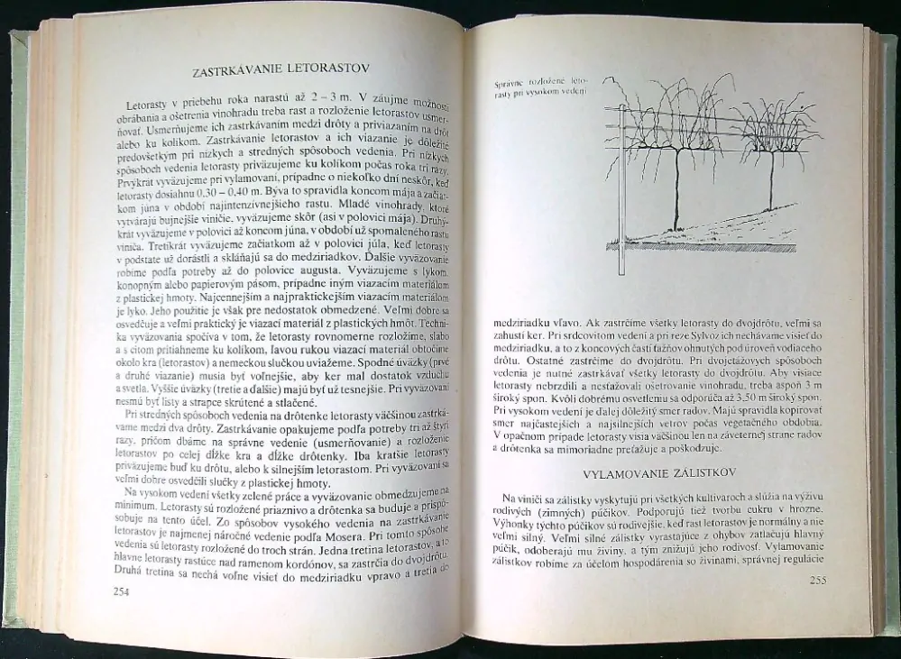 Vinohradníctvo 1978