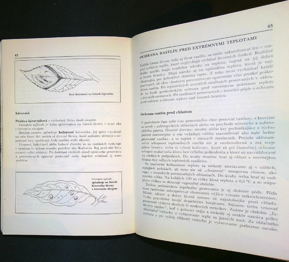 Pestujeme južné ovocie