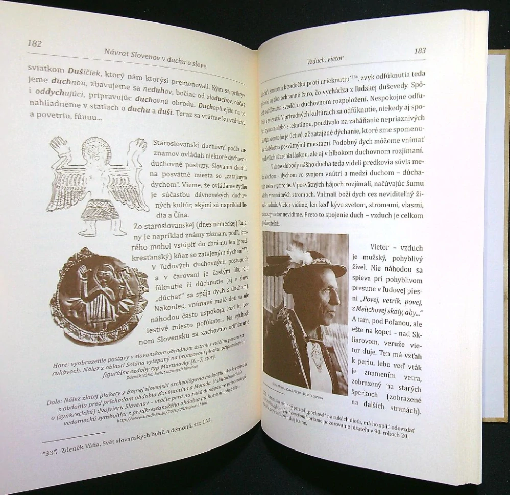 Návrat Slovenov v duchu a slove