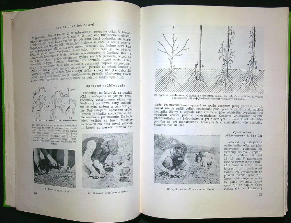 Záhradníctvo I.  Ovocinárstvo zeleninárstvo