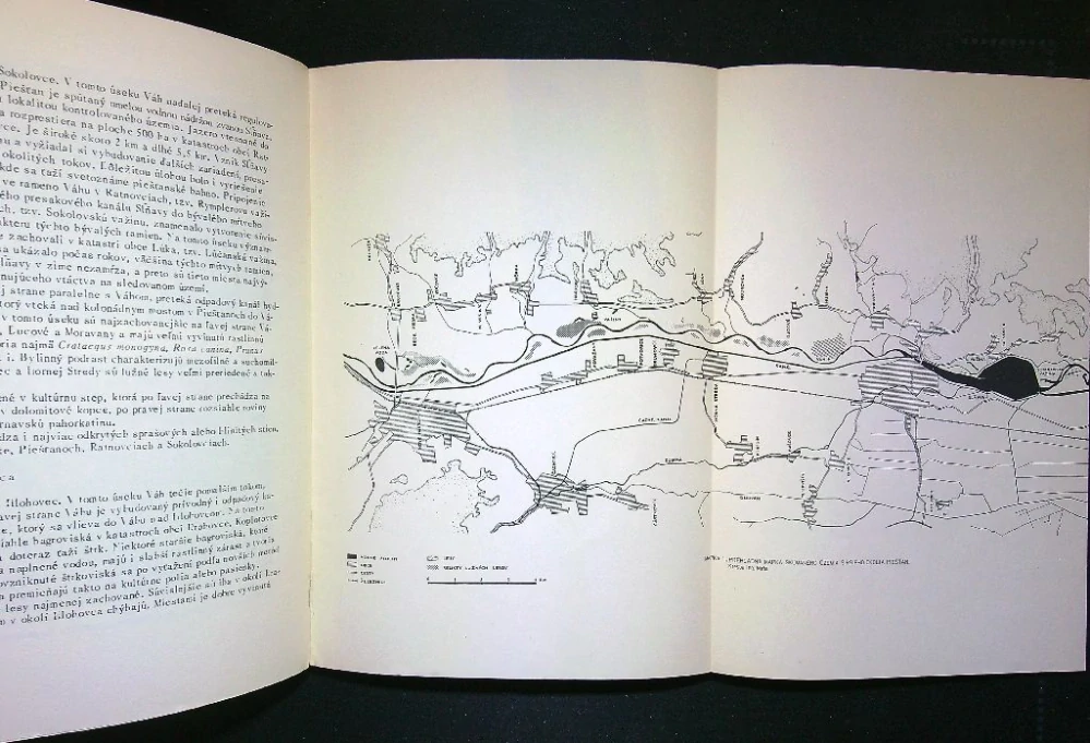 Avifauna širšieho okolia Piešťan