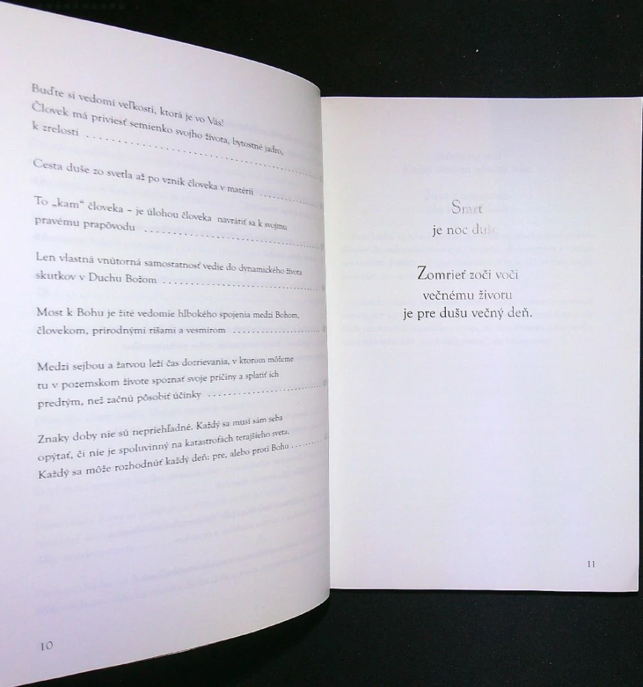 Spoločníčka smrť