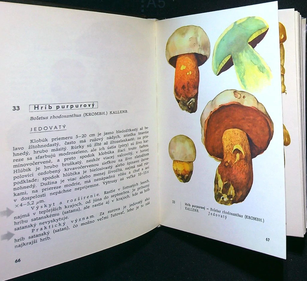 Vreckový atlas húb 1972