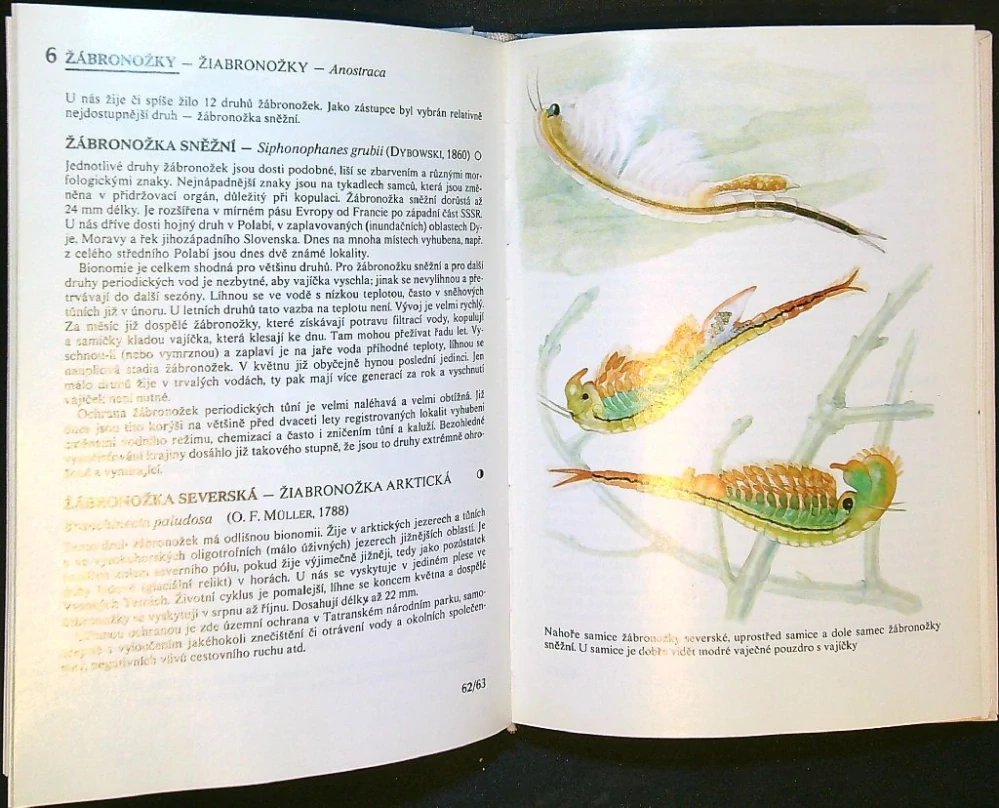 Kapesní atlas chráněných a ohrožených živočichů 1