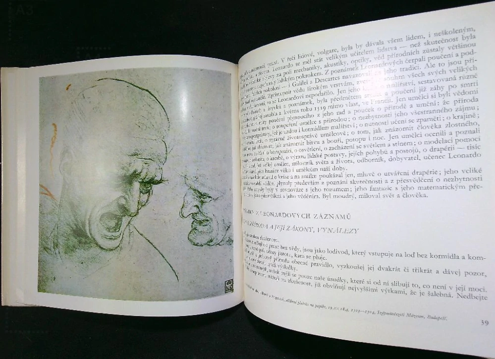 Leonardo da Vinci