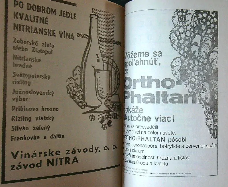 Novozámocké vinohrady a víno