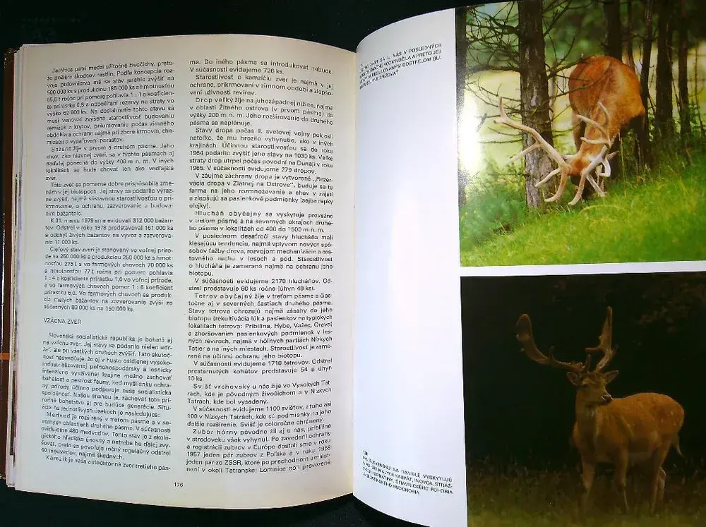 Spriemyselňovanie živočíšnej výroby na Slovensku