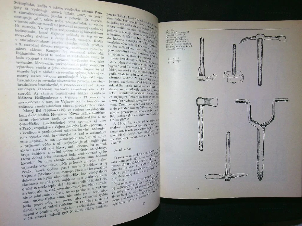 Vajnory - Vlastivedná monografia 