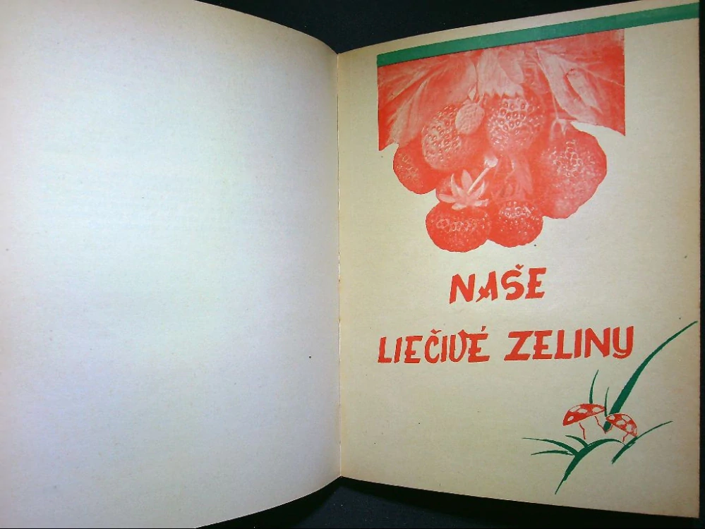 Dobrá rada nad zlato