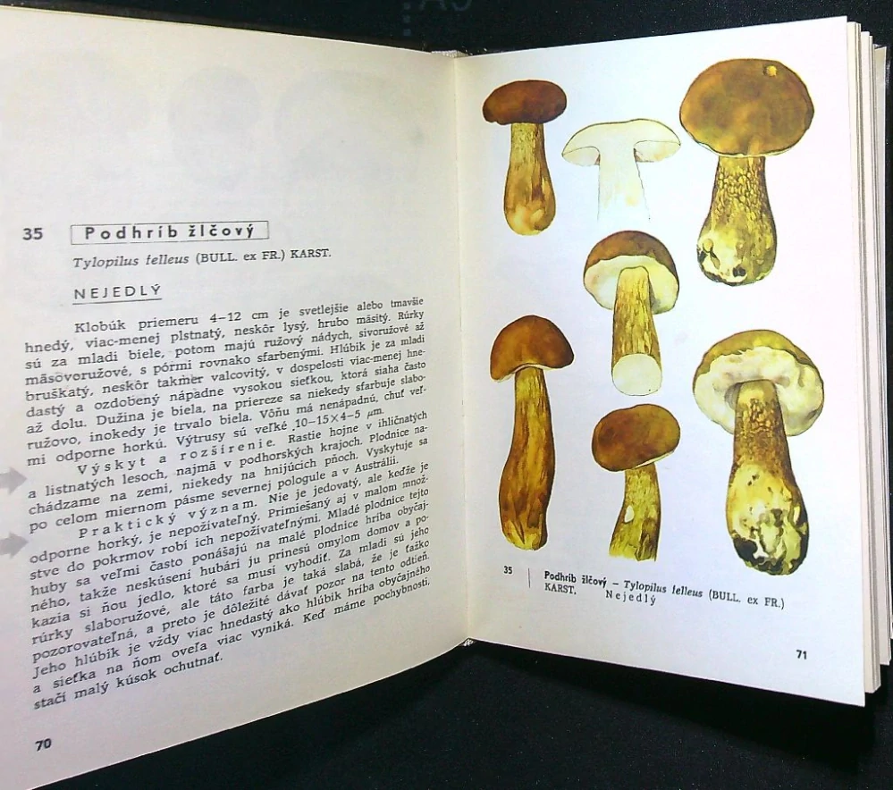 Vreckový atlas húb 1972