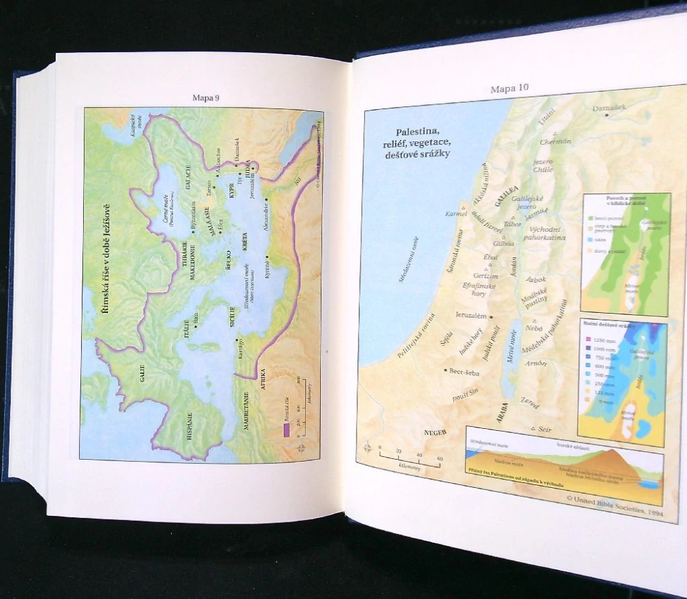 Bible 2001