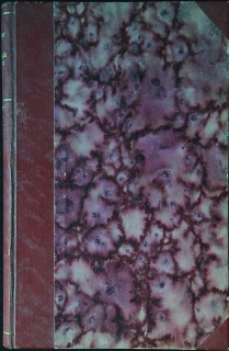 Z minulých věků, V šeru dávných věků