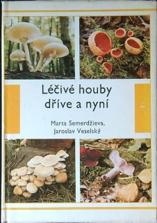Léčivé houby dříve a nyní