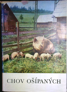 Chov ošípaných