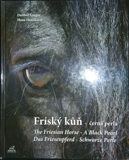 Fríský kůň - černá perla